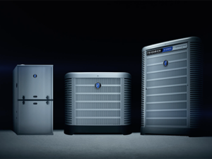 Bold Woodworker – Mix of Products