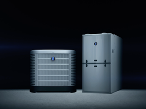 Bold Woodworker – Budget Products