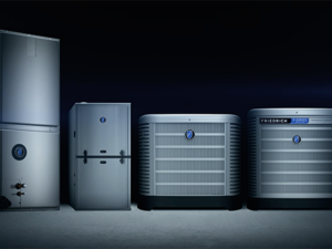 Bold Car Restorer – Budget Products