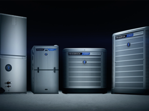 Bold Car Restorer – Feature-packed Products