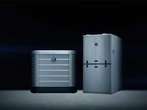 Bold Woodworker – Budget Products