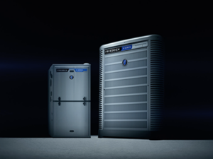 Bold Woodworker – Feature-packed Products