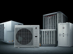 Meat Locker – Mix of Products