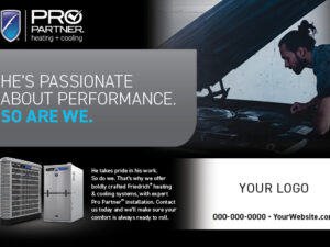 Bold Car Restorer Half