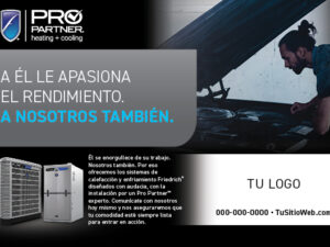 Bold Car Restorer Half