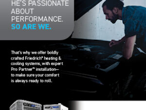 Bold Car Restorer Qtr