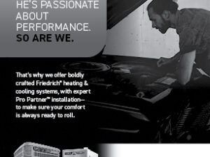 Bold Car Restorer Qtr