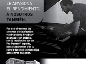 Bold Car Restorer Qtr