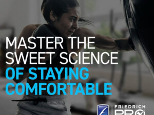 Bold Boxer – Video